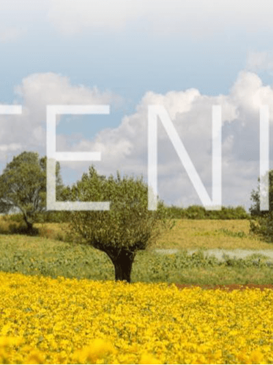 Display Lancape Image