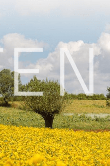 "BURMESE GARDEN" TYTENIUM"S SPRING SUMMER 2025's image 2