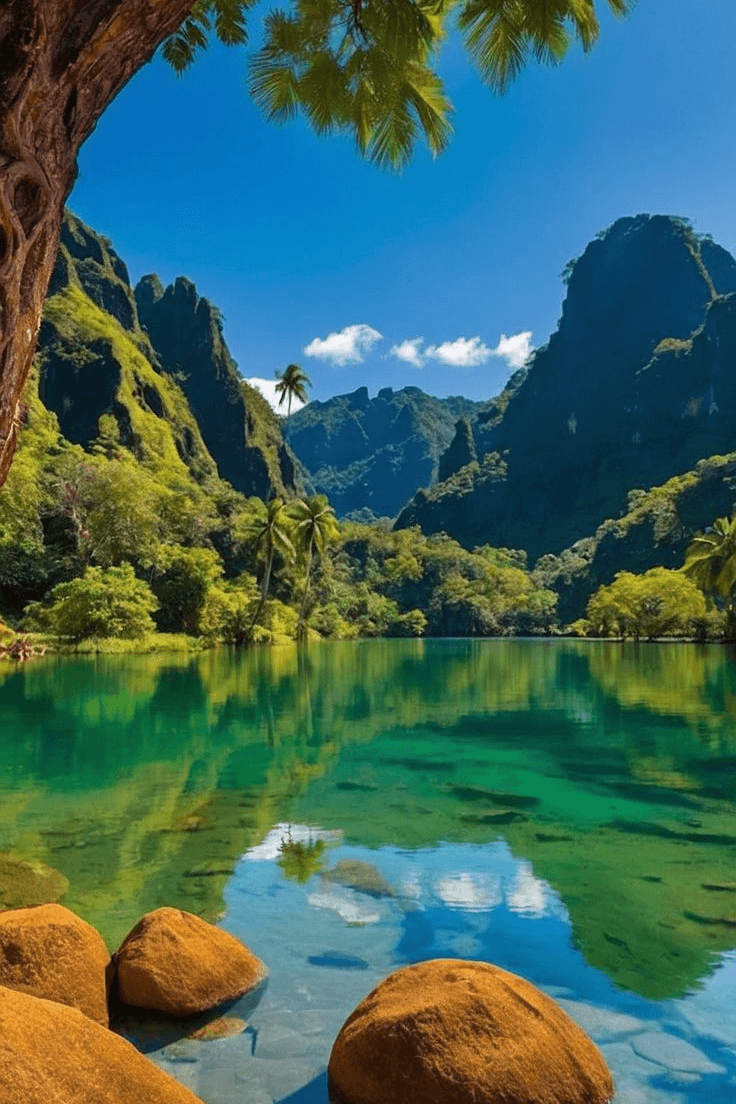 "BURMESE GARDEN" TYTENIUM"S SPRING SUMMER 2025's image 1